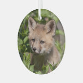 Kutest Baby Animals | Fox Kit Glas Ornament (Voorkant links)