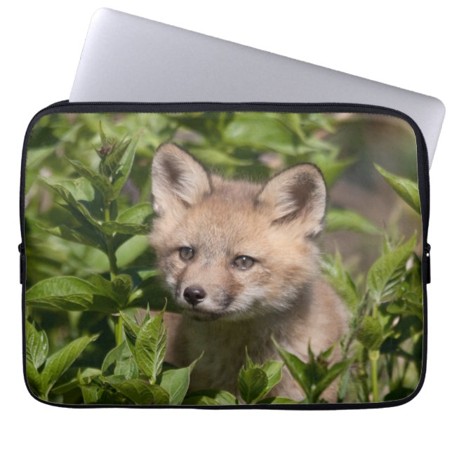 Kutest Baby Animals | Fox Kit Laptop Sleeve (Voorkant)