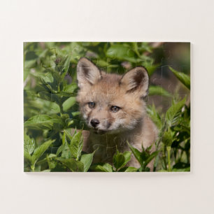 Kutest Baby Animals Fox Kit Legpuzzel