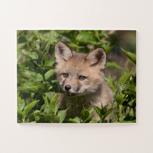 Kutest Baby Animals | Fox Kit Legpuzzel (Horizontaal)
