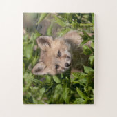 Kutest Baby Animals | Fox Kit Legpuzzel (Verticaal)