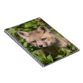 Kutest Baby Animals | Fox Kit Notitieboek (Rechterzijde)