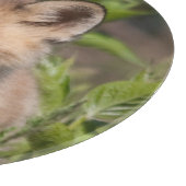 Kutest Baby Animals | Fox Kit Snijplank (Hoek)