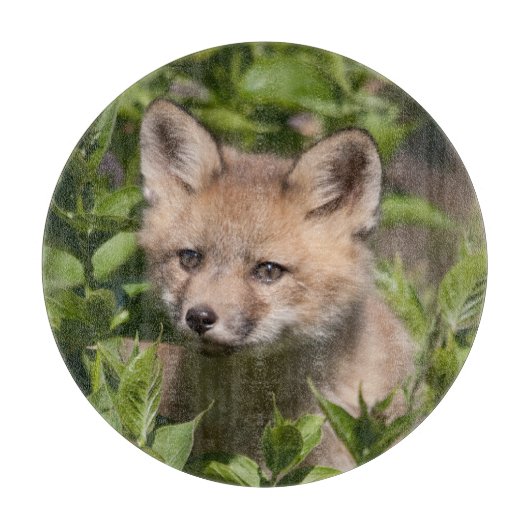 Kutest Baby Animals | Fox Kit Snijplank (Voorkant)