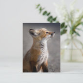 Kutest Baby Animals | Fox Portret Baby Briefkaart (Staand voorkant)