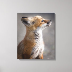 Kutest Baby Animals   Fox Portret Baby Canvas Afdruk