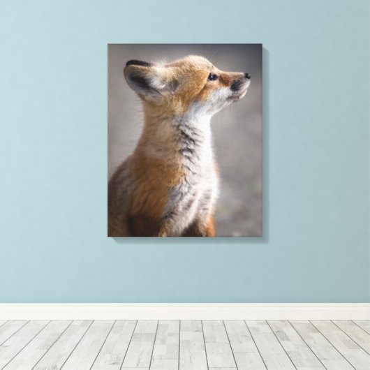 Kutest Baby Animals | Fox Portret Baby Canvas Afdruk (Insitu (Houten vloer))