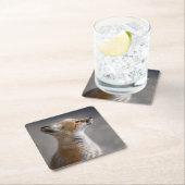 Kutest Baby Animals | Fox Portret Baby Kartonnen Onderzetters (Insitu)