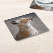 Kutest Baby Animals | Fox Portret Baby Kartonnen Onderzetters (Schuin)