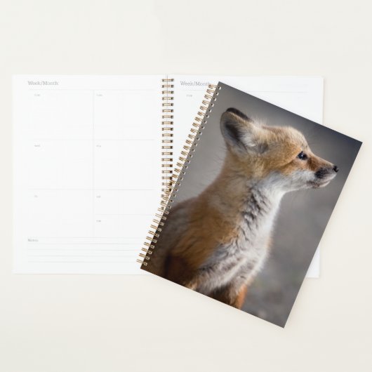 Kutest Baby Animals | Fox Portret Baby Planner (Display)