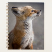 Kutest Baby Animals | Fox Portret Baby Planner (Voorkant)