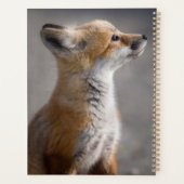Kutest Baby Animals | Fox Portret Baby Planner (Achterkant)