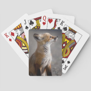 Kutest Baby Animals   Fox Portret Baby Pokerkaarten