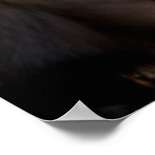 Kutest Baby Animals | Fox Portret Baby Poster (Hoek)