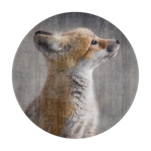 Kutest Baby Animals | Fox Portret Baby Snijplank (Voorkant)
