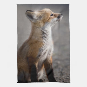 Kutest Baby Animals Fox Portret Baby Theedoek