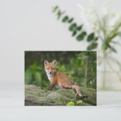 Kutest Baby Animals | Foxy Smile Briefkaart (Staand voorkant)