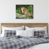 Kutest Baby Animals | Foxy Smile Canvas Afdruk (Insitu (Slaapkamer))
