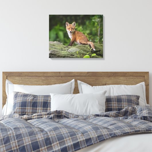 Kutest Baby Animals | Foxy Smile Canvas Afdruk (Insitu (Slaapkamer))