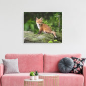 Kutest Baby Animals | Foxy Smile Canvas Afdruk (Insitu (Woonkamer))