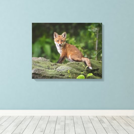 Kutest Baby Animals | Foxy Smile Canvas Afdruk (Insitu (Houten vloer))