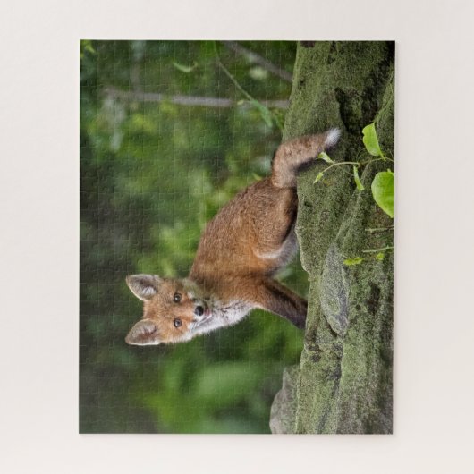 Kutest Baby Animals | Foxy Smile Legpuzzel (Verticaal)