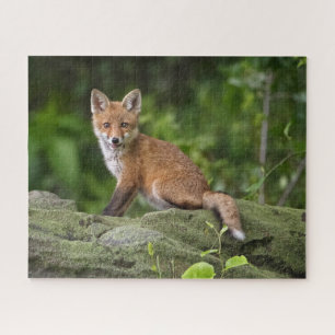 Kutest Baby Animals   Foxy Smile Legpuzzel