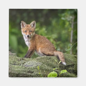 Kutest Baby Animals | Foxy Smile Magneet (Voorkant)