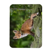 Kutest Baby Animals | Foxy Smile Magneet (Verticaal)