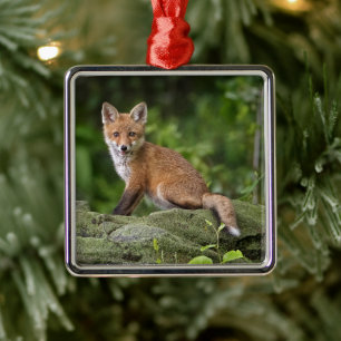 Kutest Baby Animals Foxy Smile Metalen Ornament