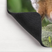 Kutest Baby Animals | Foxy Smile Muismat (Hoek)