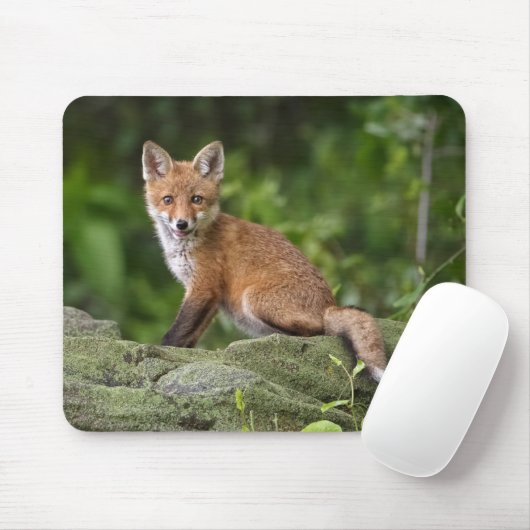 Kutest Baby Animals | Foxy Smile Muismat (Met muis)