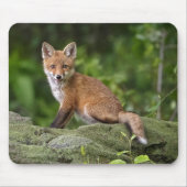 Kutest Baby Animals | Foxy Smile Muismat (Voorkant)