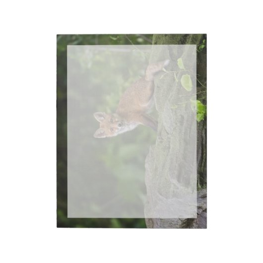 Kutest Baby Animals | Foxy Smile Notitieblok (Linkerzijde)