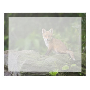 Kutest Baby Animals Foxy Smile Notitieblok