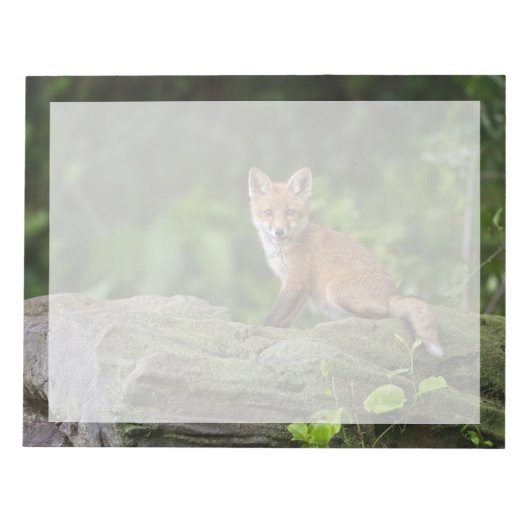 Kutest Baby Animals | Foxy Smile Notitieblok (Voorkant)