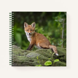Kutest Baby Animals Foxy Smile Notitieboek