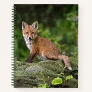 Kutest Baby Animals Foxy Smile Notitieboek