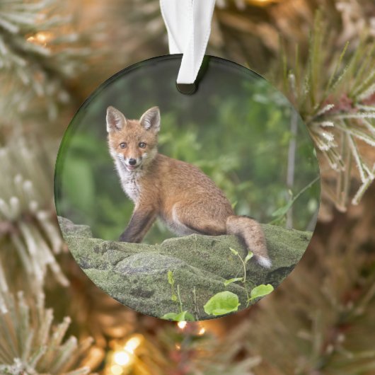 Kutest Baby Animals | Foxy Smile Ornament (Boom)
