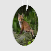 Kutest Baby Animals | Foxy Smile Ornament (voorkant)