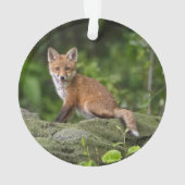 Kutest Baby Animals | Foxy Smile Ornament (achterkant)
