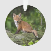Kutest Baby Animals | Foxy Smile Ornament (voorkant)