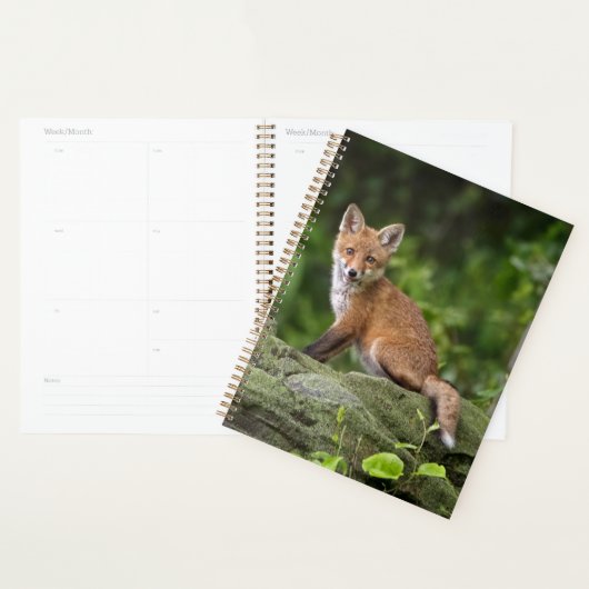 Kutest Baby Animals | Foxy Smile Planner (Display)