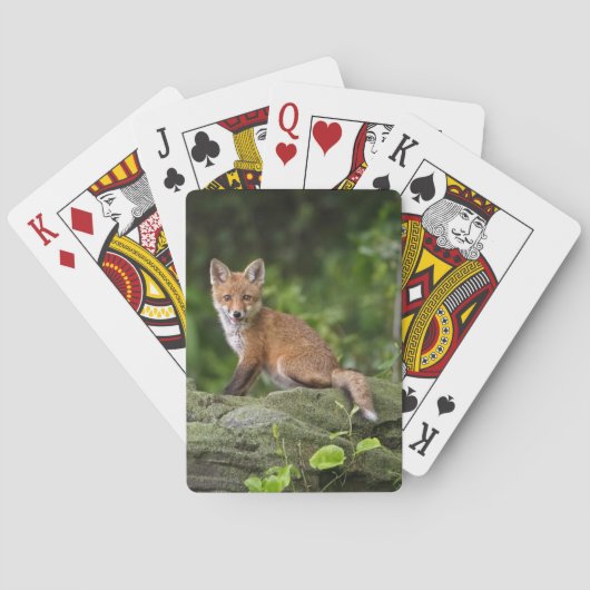 Kutest Baby Animals | Foxy Smile Pokerkaarten (Achterkant)