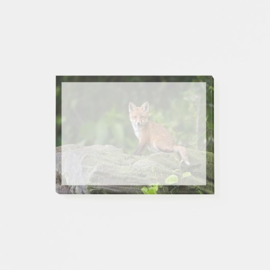 Kutest Baby Animals | Foxy Smile Post-it® Notes (Voorkant)