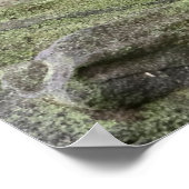 Kutest Baby Animals | Foxy Smile Poster (Hoek)