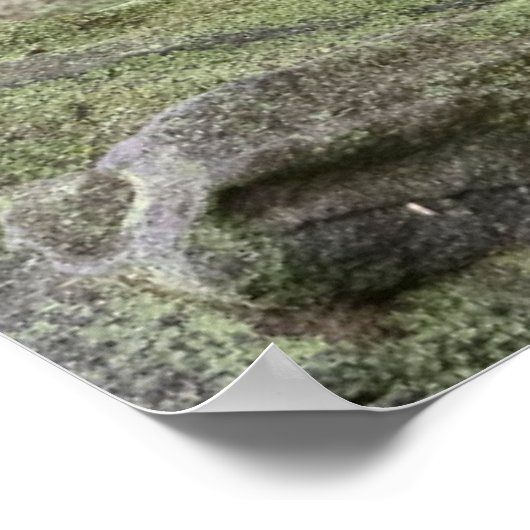 Kutest Baby Animals | Foxy Smile Poster (Hoek)