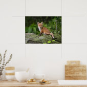 Kutest Baby Animals | Foxy Smile Poster (Keuken)