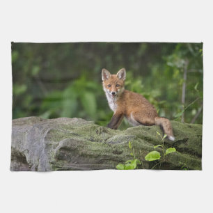 Kutest Baby Animals Foxy Smile Theedoek