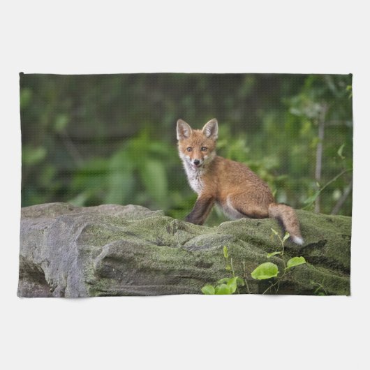 Kutest Baby Animals | Foxy Smile Theedoek (Horizontaal)